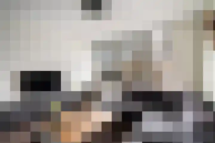 Troelstralaan 22 Pijnacker thumbnail 10
