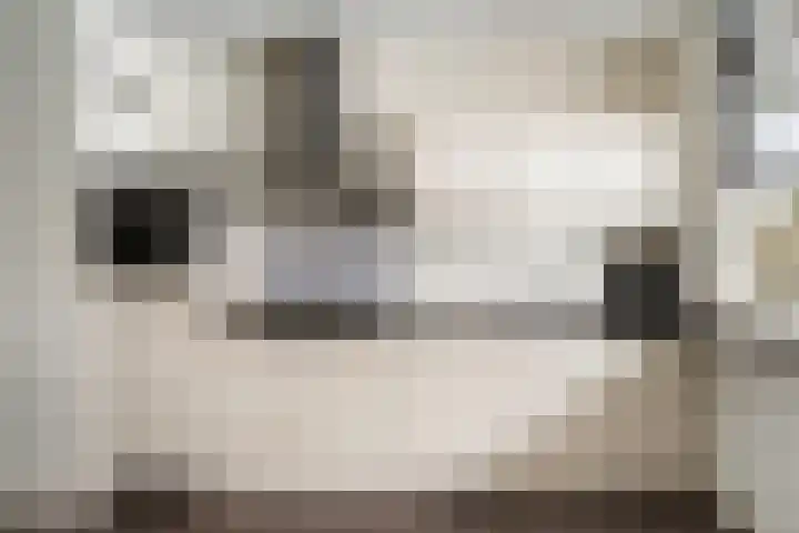 Troelstralaan 22 Pijnacker thumbnail 13