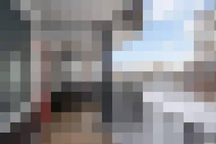Troelstralaan 22 Pijnacker thumbnail 23