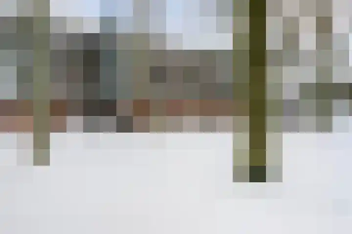 Troelstralaan 22 Pijnacker thumbnail 26