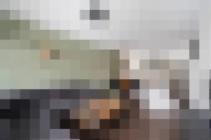 Troelstralaan 22 Pijnacker thumbnail 8