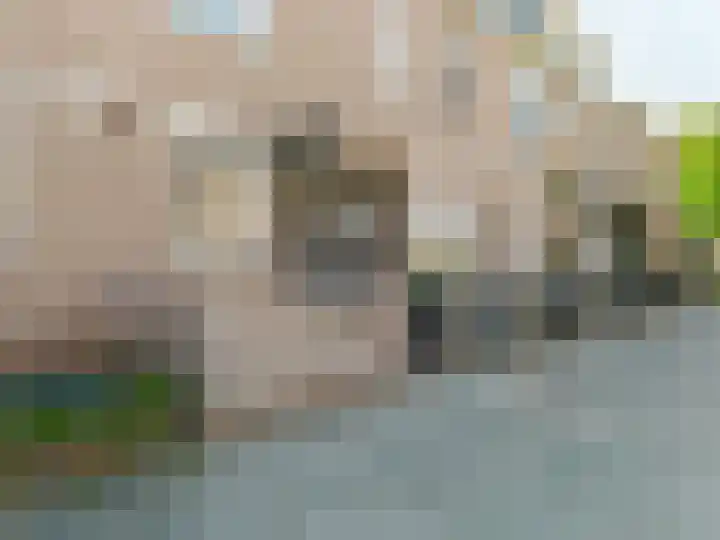 Troelstrapad 11 Spijkenisse thumbnail 10
