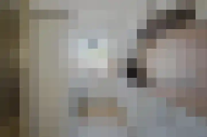 Troelstrapad 11 Spijkenisse thumbnail 13