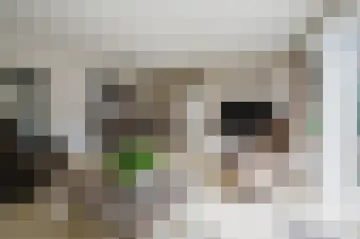 Troelstrapad 11 Spijkenisse thumbnail 17