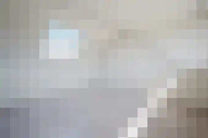 Troelstrapad 11 Spijkenisse thumbnail 27