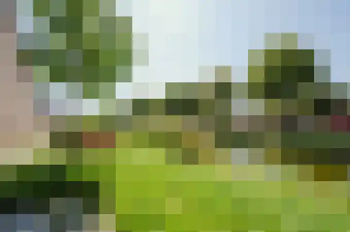 Troelstrapad 11 Spijkenisse thumbnail 30