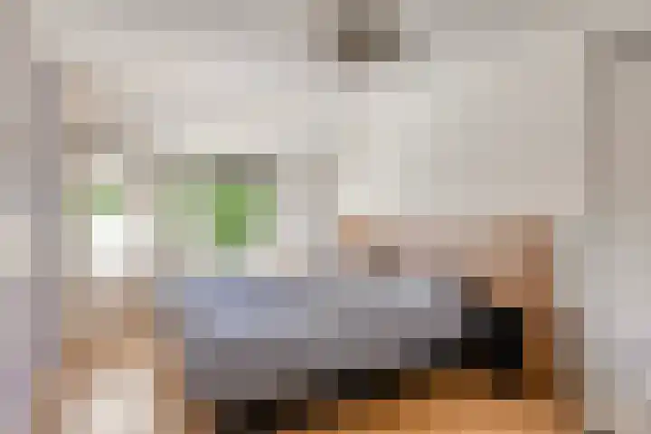 Troelstrastraat 12 Epe thumbnail 15