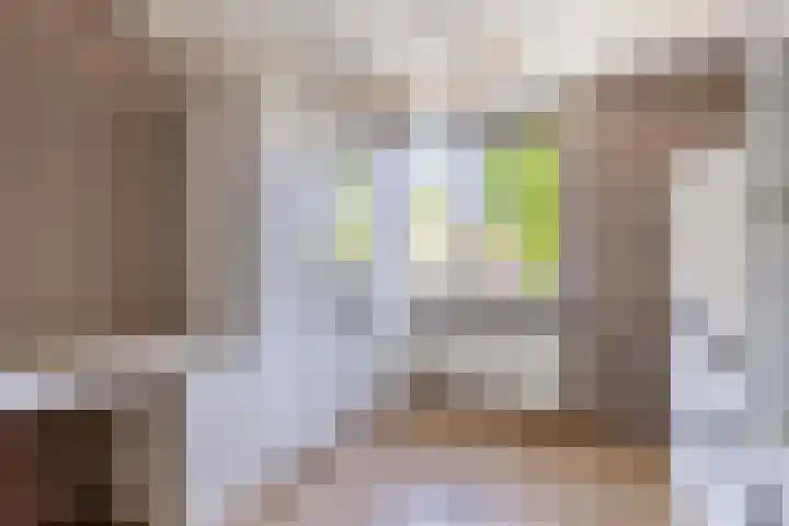 Troelstrastraat 12 Epe thumbnail 17