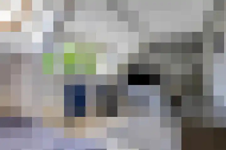 Troelstrastraat 12 Epe thumbnail 23