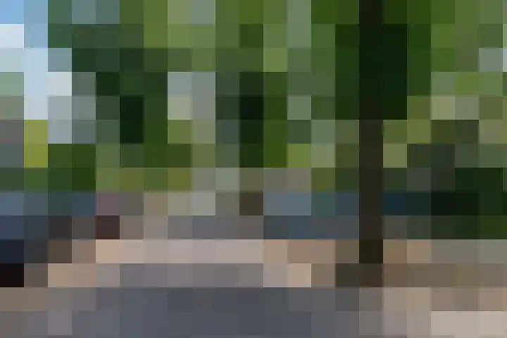 Troelstraweg 8 De Bilt thumbnail 5
