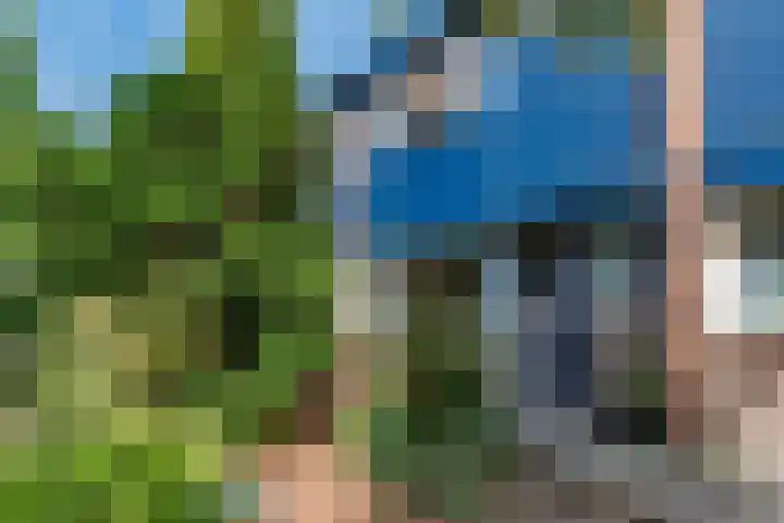 Troelstraweg 8 De Bilt thumbnail 6