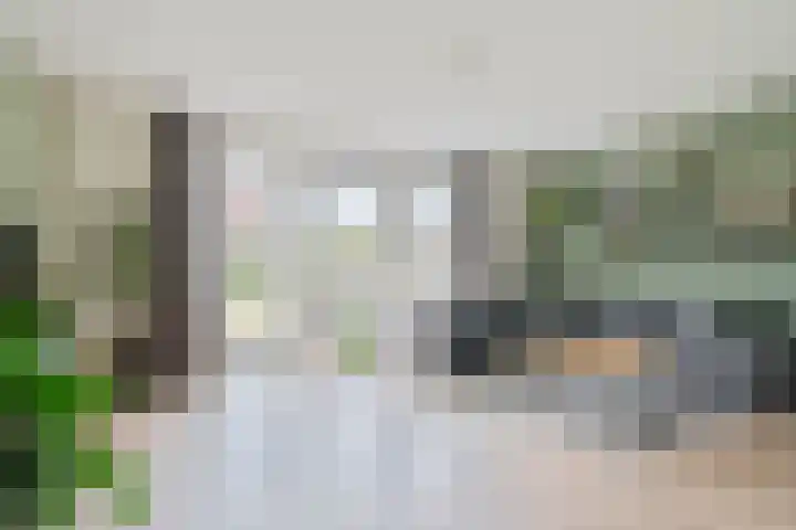 Troffel 23 Dronten thumbnail 11