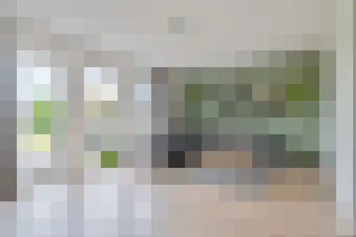 Troffel 23 Dronten thumbnail 12