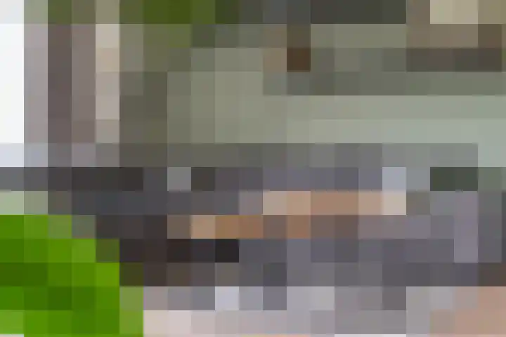Troffel 23 Dronten thumbnail 13