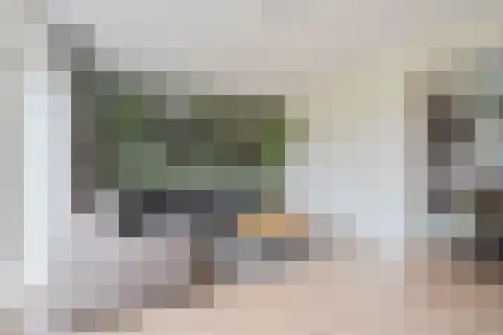 Troffel 23 Dronten thumbnail 14