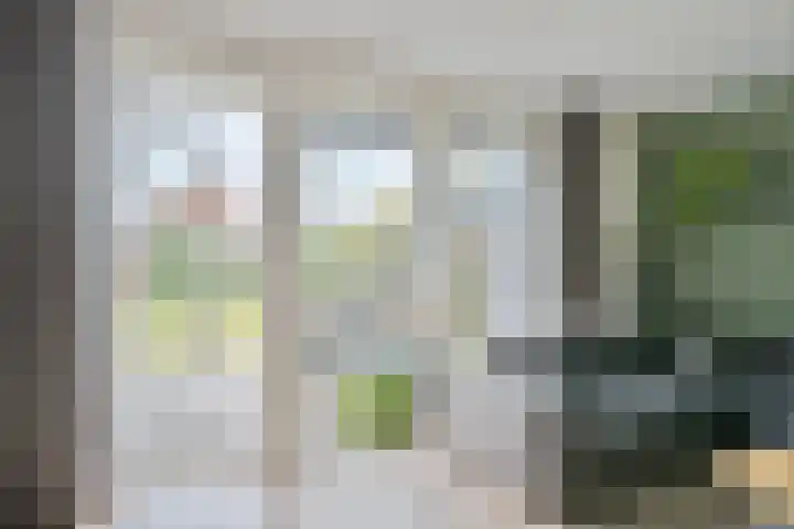 Troffel 23 Dronten thumbnail 15