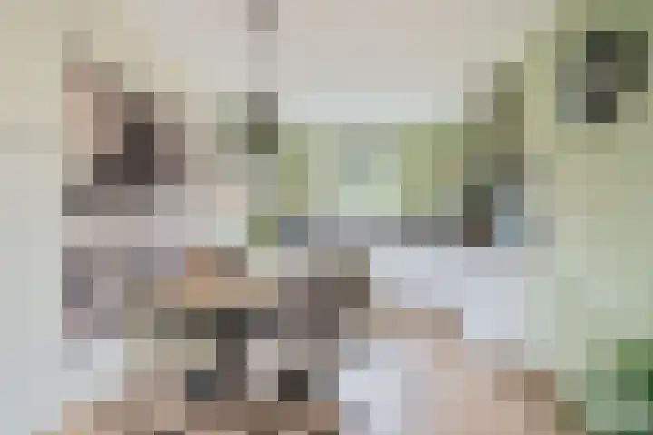 Troffel 23 Dronten thumbnail 16
