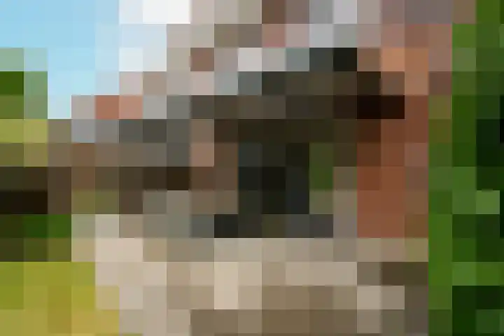 Troffel 23 Dronten thumbnail 35