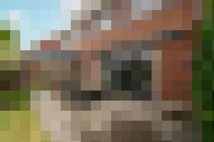 Troffel 23 Dronten thumbnail 36