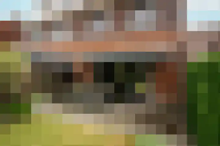 Troffel 23 Dronten thumbnail 37