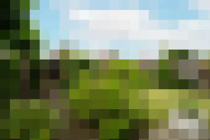 Troffel 23 Dronten thumbnail 38