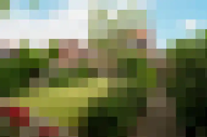 Troffel 23 Dronten thumbnail 39