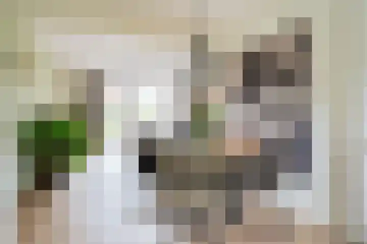 Troffel 23 Dronten thumbnail 4