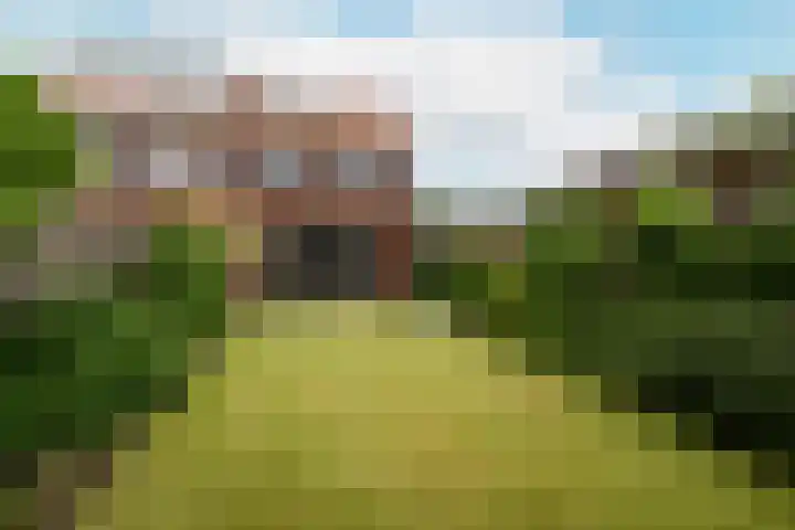 Troffel 23 Dronten thumbnail 40