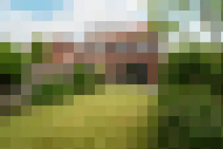 Troffel 23 Dronten thumbnail 41
