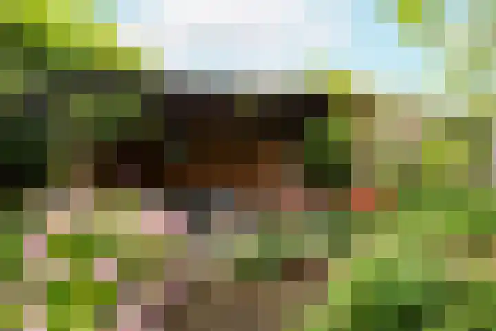 Troffel 23 Dronten thumbnail 42