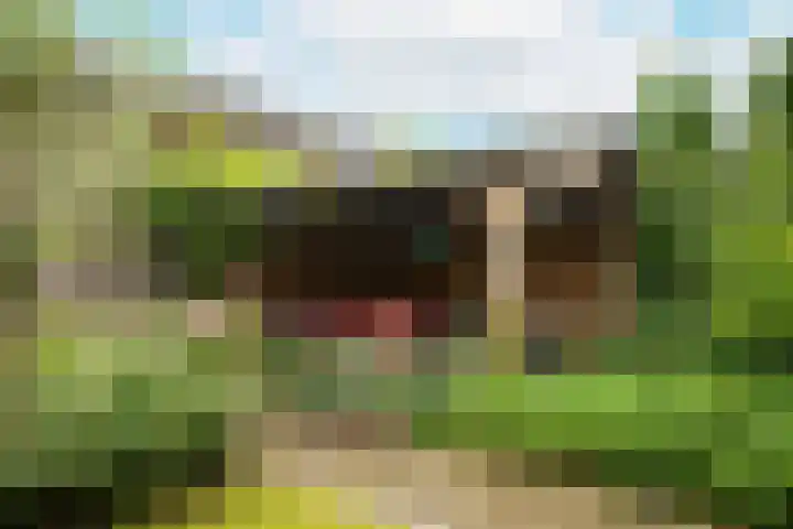 Troffel 23 Dronten thumbnail 43