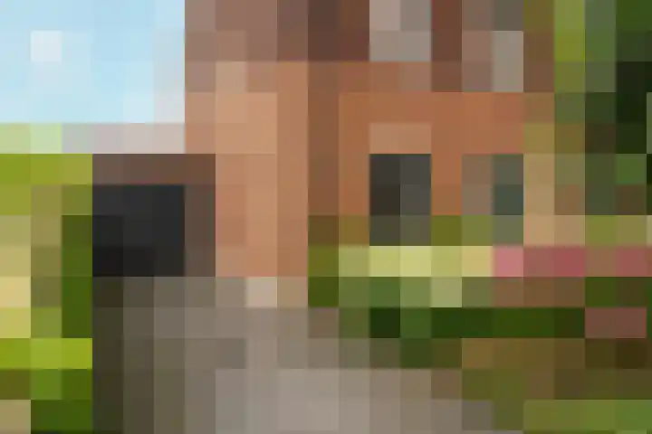 Troffel 23 Dronten thumbnail 45