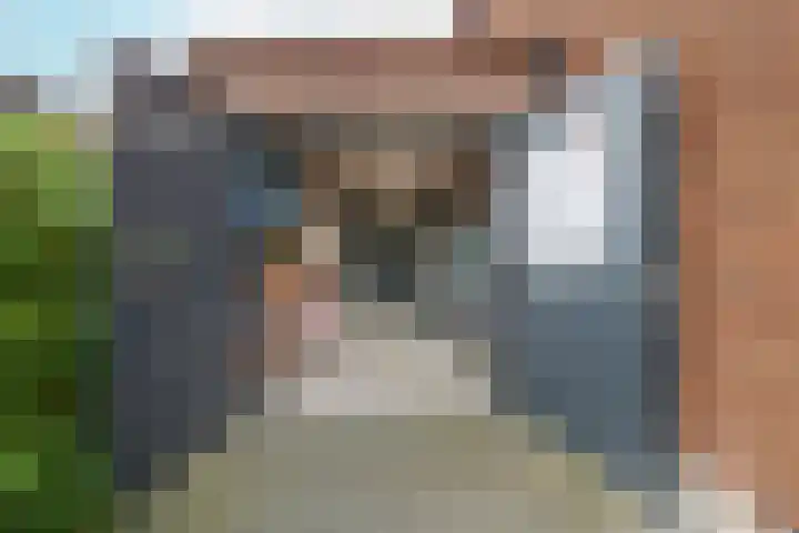 Troffel 23 Dronten thumbnail 47
