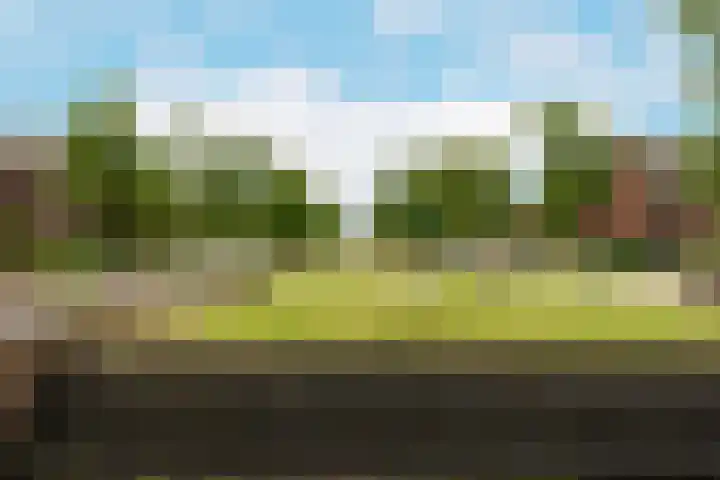 Troffel 23 Dronten thumbnail 49