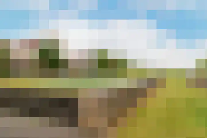 Troffel 23 Dronten thumbnail 50