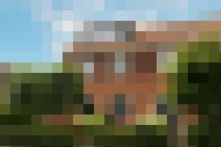 Troffel 23 Dronten thumbnail 7