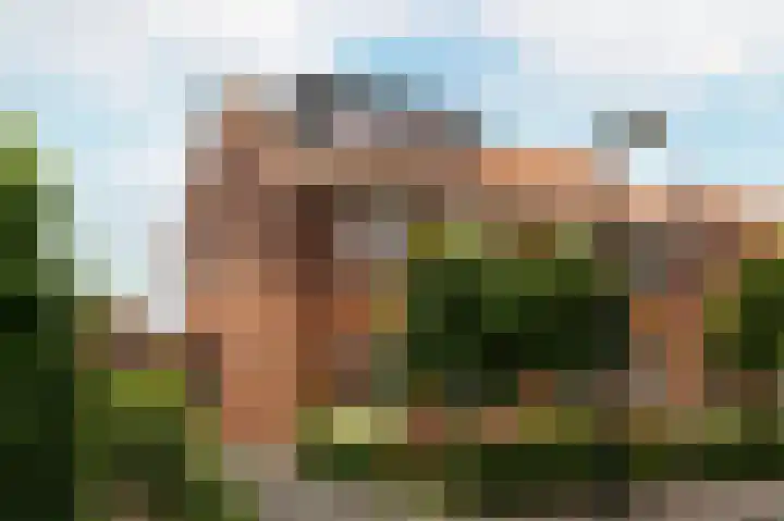 Troffel 23 Dronten thumbnail 8