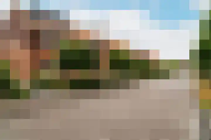Troffel 23 Dronten thumbnail 9