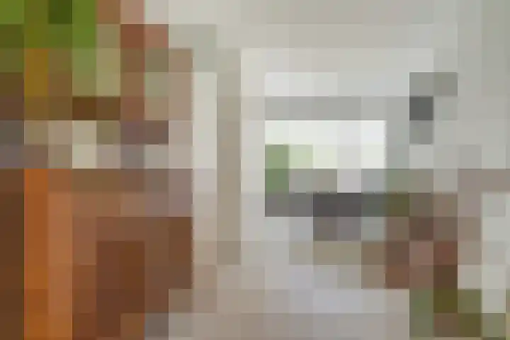 Trogven 18 Warmenhuizen thumbnail 12