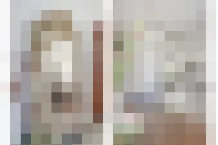 Trogven 18 Warmenhuizen thumbnail 13