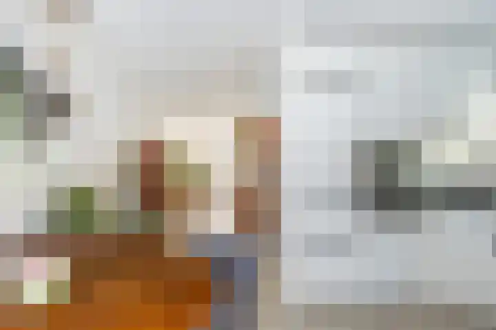 Trogven 18 Warmenhuizen thumbnail 15