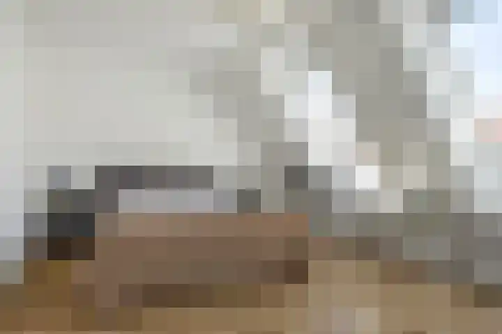 Trogven 18 Warmenhuizen thumbnail 22
