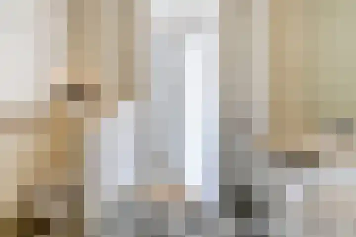 Trogven 18 Warmenhuizen thumbnail 28