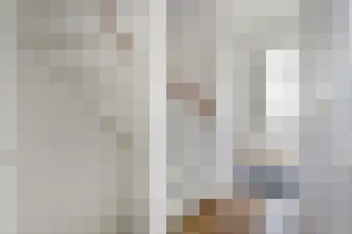 Trogven 18 Warmenhuizen thumbnail 29