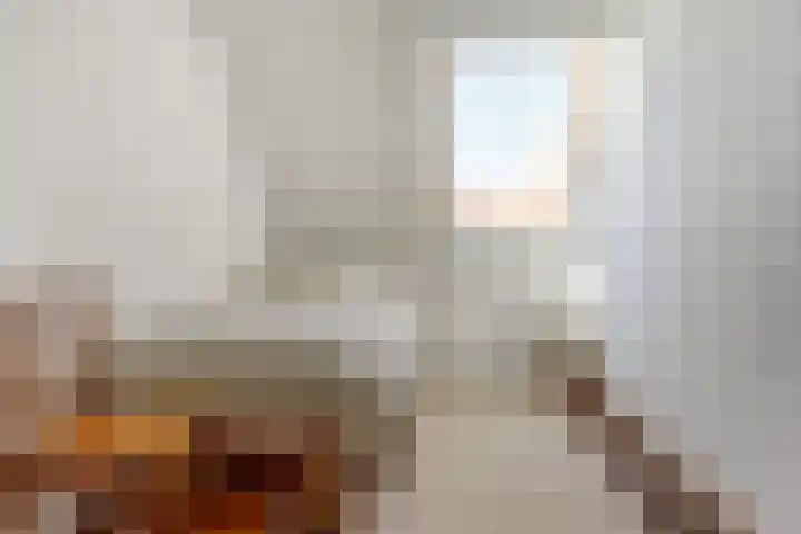 Trogven 18 Warmenhuizen thumbnail 31