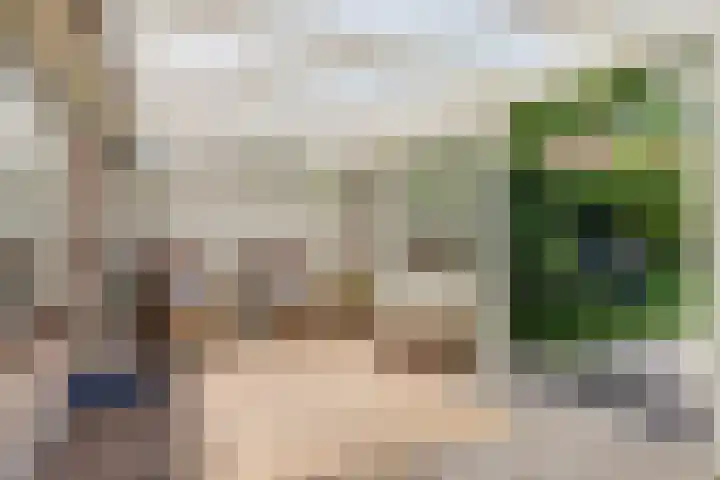 Trogven 18 Warmenhuizen thumbnail 35