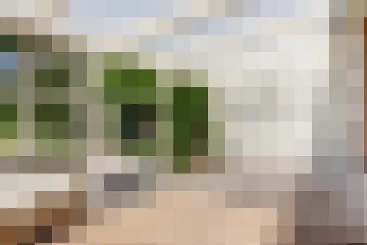 Trogven 18 Warmenhuizen thumbnail 36