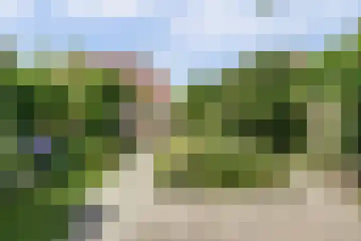 Trogven 18 Warmenhuizen thumbnail 38