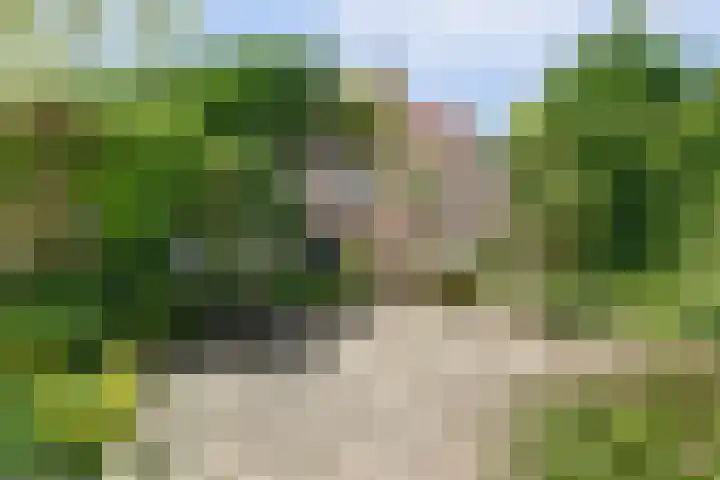 Trogven 18 Warmenhuizen thumbnail 40