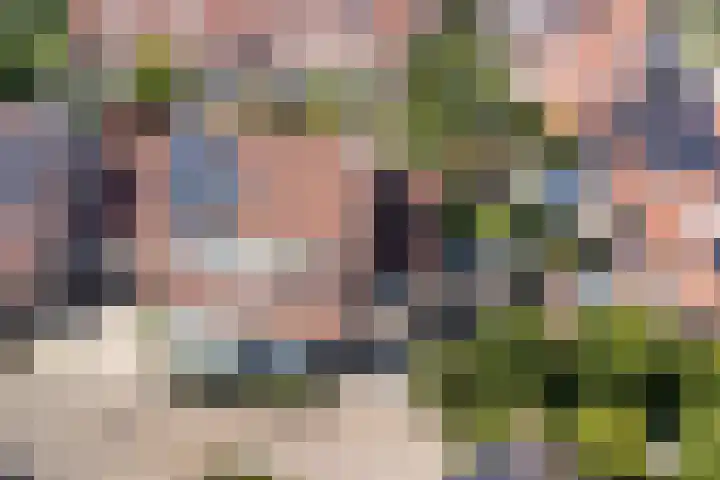 Trogven 18 Warmenhuizen thumbnail 41